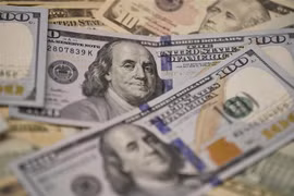 Đồng USD. (Nguồn: THX/TTXVN) 