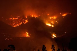 Ảnh minh họa. (Nguồn: desdemonadespair.net) 