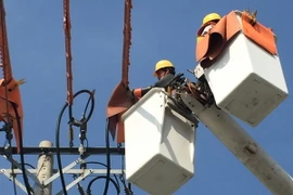 (Ảnh minh họa: Thành Chung/TTXVN) 