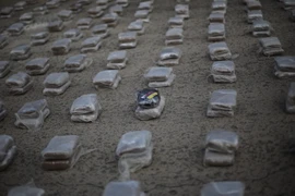 (Nguồn: THX/TTXVN)