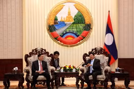 Quang cảnh buổi tiếp. (Ảnh: Kiên Phạm/Vietnam+)
