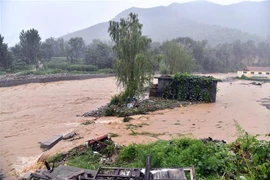 Cảnh ngập lụt do bão Lekima tại tỉnh Chiết Giang, Trung Quốc, ngày 11/8/2019. (Nguồn: THX/TTXVN) 