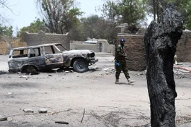 Quân đội Nigeria tiêu diệt một thủ lĩnh cấp cao nhóm Boko Haram