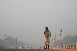 Sương mù dày đặc bao phủ thủ đô New Delhi, Ấn Độ, ngày 1/11/2019. (Nguồn: AFP/TTXVN) 