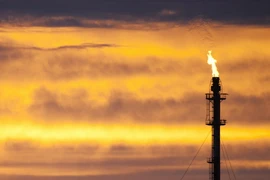 Xuất khẩu dầu của Iraq giảm gần 14% trong tháng 1/2015