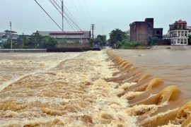 Lũ dâng cao trên sông Hà Cối, Quảng Ninh. (Ảnh: Nguyễn Hoàng/TTXVN)