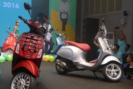 (Ảnh: Văn Xuyên/Vietnam+)