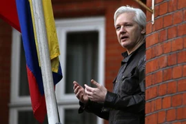 Ông Julian Assange tại Đại sứ quán Ecuador ở London, Anh ngày 19/5/2017. (Nguồn: AFP/TTXVN) 