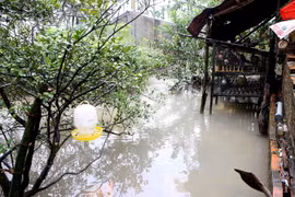 Khu vực nuôi gia súc, gia cầm của các hộ dân thôn Bạch Mỹ, xã Nghĩa Mỹ, huyện Tư Nghĩa, Quảng Ngãi, vẫn bị nước lũ bao vây, cô lập. (Ảnh: Trần Lê Lâm/TTXVN)