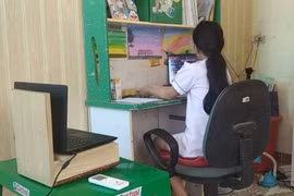 Học sinh thi trực tuyến với hai thiết bị máy tính. (Ảnh: PM/Vietnam+)