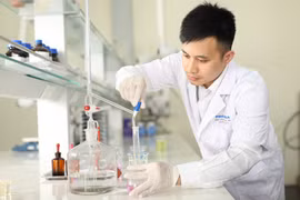 (Ảnh minh họa: PV/Vietnam+)