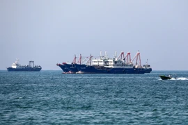 Các tàu chở hàng đi qua vùng Vịnh. (Nguồn: AFP/TTXVN)