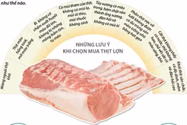 [Infographics] Cách chọn thịt lợn đảm bảo an toàn thực phẩm