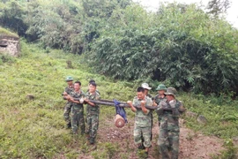 Vận chuyển, tập kết số bom, mìn đến điểm hủy nổ. (Ảnh: Thanh Sang/TTXVN)