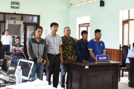 5 bị cáo tại phiên tòa phúc thẩm do Tòa án nhân dân tỉnh Kon Tum xét xử. (Ảnh: Quang Thái/TTXVN)