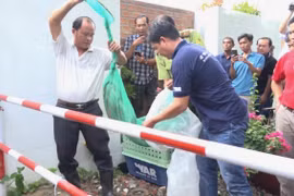 Cặp rắn hổ mây được đưa vào túi lưới an toàn. (Ảnh: Thanh Sang/TTXVN)