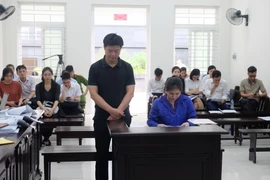 Hai vợ chồng bị cáo Trần Thị Ngọc Mai và Nguyễn Thành Long tại phiên tòa. (Ảnh: Kim Anh/TTXVN)