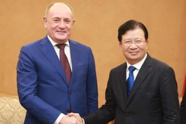 Phó Thủ tướng Chính phủ Trịnh Đình Dũng tiếp ông Markelov V.A, Phó Chủ tịch Hội đồng quản trị Tập đoàn Gaz prom (liên bang Nga). (Ảnh: Doãn Tấn/TTXVN) 