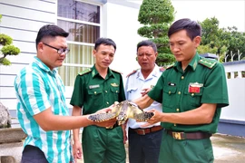 Anh Lê Hồng Phúc bàn giao cá thể Đồi mồi quý hiếm cho Trạm Biên phòng Cửa khẩu cảng Vũng Tàu. (Nguồn: TTXVN phát)