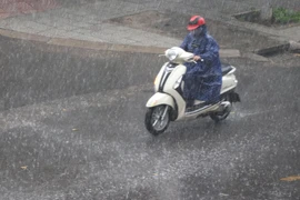 (Nguồn: TTXVN)