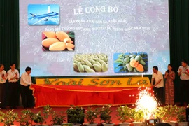 Lãnh đạo Bộ Nông nghiệp và Phát triển nông thôn, tỉnh Sơn La, doanh nghiệp xuất khẩu và hợp tác xã có xoài xuất khẩu thực hiện nghi thức công bố sản phẩm xoài xuất khẩu năm 2019. (Ảnh: Nguyễn Cường/TTXVN)