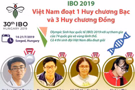 [Infographics] Cả 4 thí sinh Việt Nam đều đoạt giải tại IBO 2019