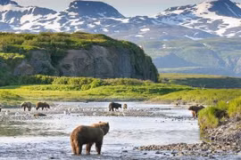 Vùng đất băng tuyết Alaska đang tìm cách thích ứng với một đợt nóng kỷ lục với nhiệt độ tăng vọt 30 độ C. (Nguồn: iStock)