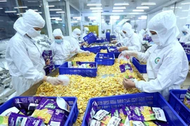 Trái cây xuất khẩu bao gồm tươi và đóng hộp là một trong những mặt hàng Việt Nam có thể xuất sang Romania. (Ảnh: Vũ Sinh/TTXVN)