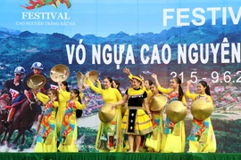Biểu diễn nghệ thuật chào mừng. (Ảnh: Quốc Khánh/TTXVN)