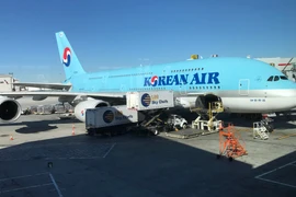 Máy bay của hãng hàng không Korean Air. (Nguồn: AFP/TTXVN)