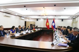 Quang cảnh buổi tham vấn. (Ảnh: Xuân Tú/TTXVN)