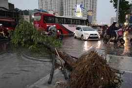 Mưa lớn đúng giờ tan tầm, Hà Nội ngập nặng, giao thông hỗn loạn