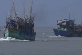 Tàu cá Bạc Liêu đang di chuyển vào bờ tránh bão số 1. (Ảnh: Huỳnh Sử/TTXVN)