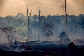 Rừng Amazon bị thiêu trụi tại Altamira, bang Para, Brazil, ngày 27/8/2019. (Nguồn: AFP/TTXVN)
