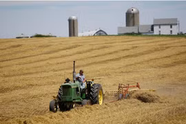 Một nông dân thu hoạch trên cánh đồng của mình tại trang trại ở Pecatonica, Illinois, Mỹ. (Nguồn: Reuters)