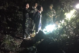 Các lực lượng chức năng tỉnh Hà Tĩnh cắt rừng, xuyên đêm bắt đối tượng vận chuyển 294kg ma túy đá từ Lào về Việt Nam. (Nguồn: TTXVN phát)