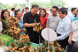 Các đại biểu tham quan các gian trưng bày tại ngày hội. (Ảnh: Mạnh Minh/TTXVN)