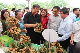 Các đại biểu tham quan các gian trưng bày tại ngày hội. (Ảnh: Mạnh Minh/TTXVN)