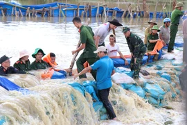 Lực lượng công an, quân đội cùng người dân khắc phục sự cố vỡ đê Quảng Điền. (Ảnh: Tuấn Anh/TTXVN)