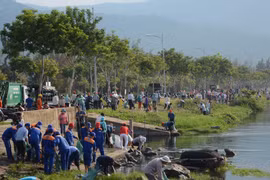 Các lực lượng tham gia chiến dịch làm sạch môi trường tại Cảng cá Thọ Quang. (Ảnh: Văn Dũng/TTXVN)