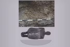 (Nguồn: livescience.com)