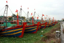 Các tàu về tránh trú bão tại cảng cá Tân Sơn, huyện Thái Thụy, Thái Bình. (Ảnh: Thế Duyệt/TTXVN)