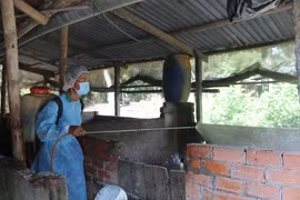 Lực lượng thú y vệ sinh tiêu độc khử trùng tại ổ dịch. (Ảnh: Thanh Hòa/TTXVN)