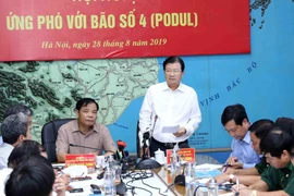 Phó Thủ tướng Chính phủ Trịnh Đình Dũng phát biểu chỉ đạo. (Ảnh: Vũ Sinh/TTXVN)