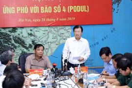 Phó Thủ tướng Chính phủ Trịnh Đình Dũng phát biểu chỉ đạo. (Ảnh: Vũ Sinh/TTXVN)