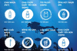 [Infographics] Nhựa sẽ ảnh hưởng đến môi trường trong bao lâu?