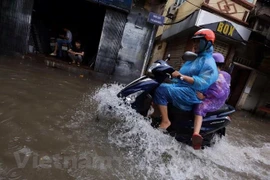 (Nguồn: Vietnam+)