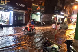 (Nguồn: TTXVN)