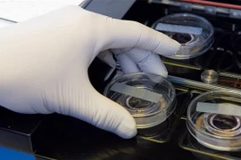 Ảnh chỉ có tính minh họa. (Nguồn: Alamy)