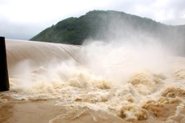 Ảnh chỉ có tính minh họa. (Ảnh: Nguyễn Đăng Lâm/TTXVN)